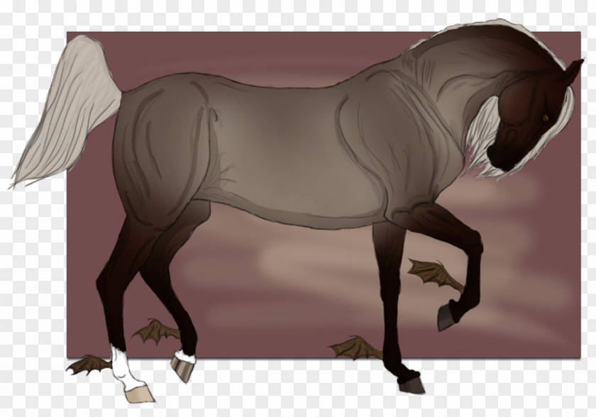 Mustang Mane Pony Rein Stallion PNG