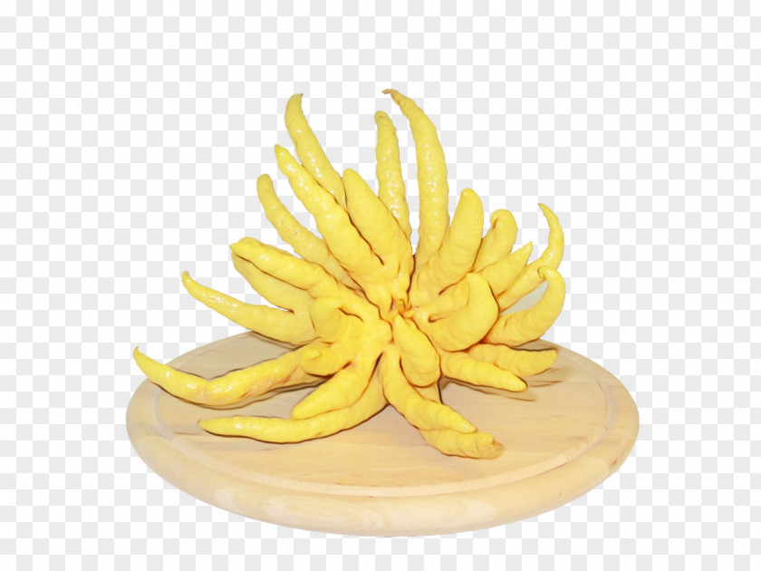 Side Dish Fried Food Lemon Flower PNG