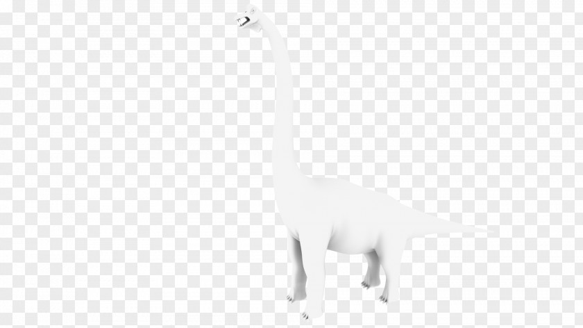 Cat White Tail PNG