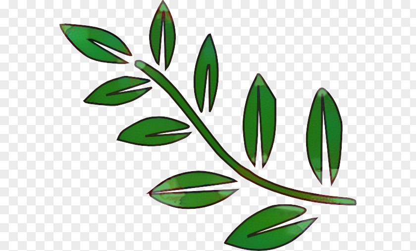 Clip Art Branch Tree Leaf PNG