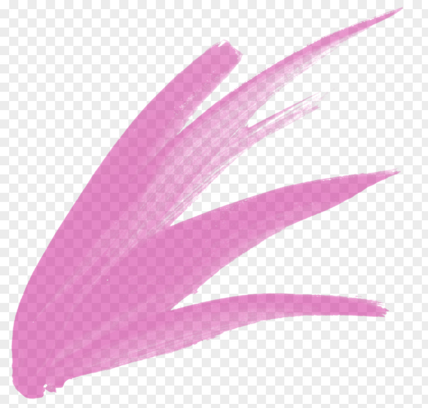 Feather Pink M RTV PNG