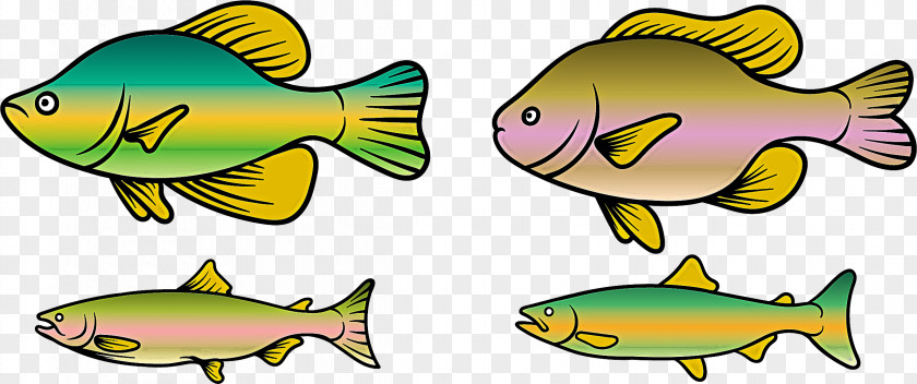 Fish Fin Products Bony-fish PNG