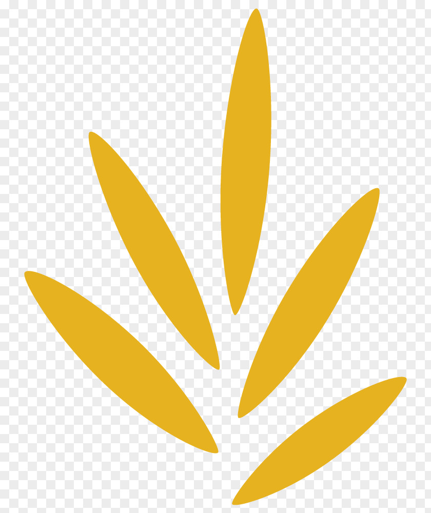 Leaf Teresa's Prime PNG