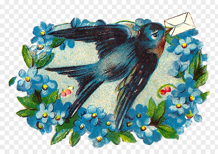 Love Birds Bluebird Romance Clip Art PNG