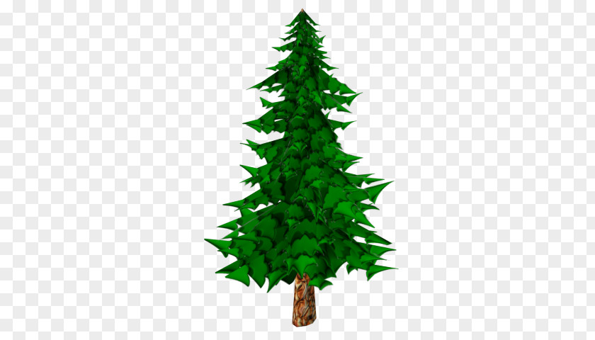Poly Pine Fir Christmas Tree Spruce PNG