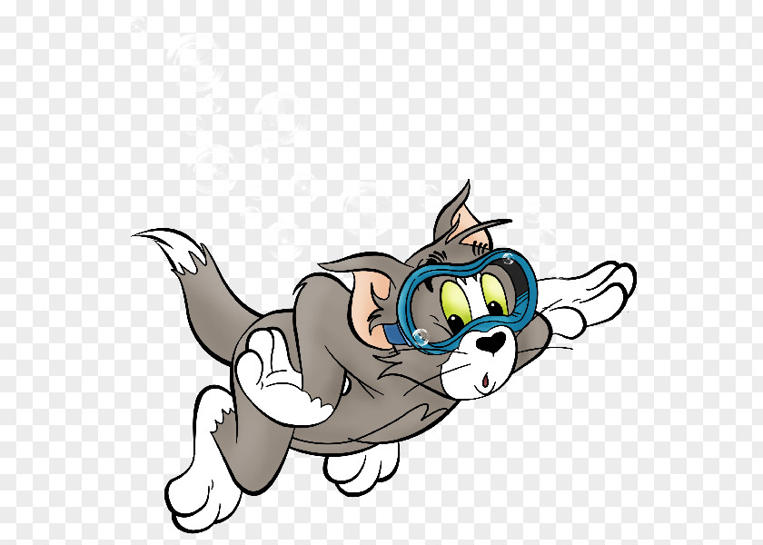Tom And Jerry Mouse Cat Cartoon Character PNG