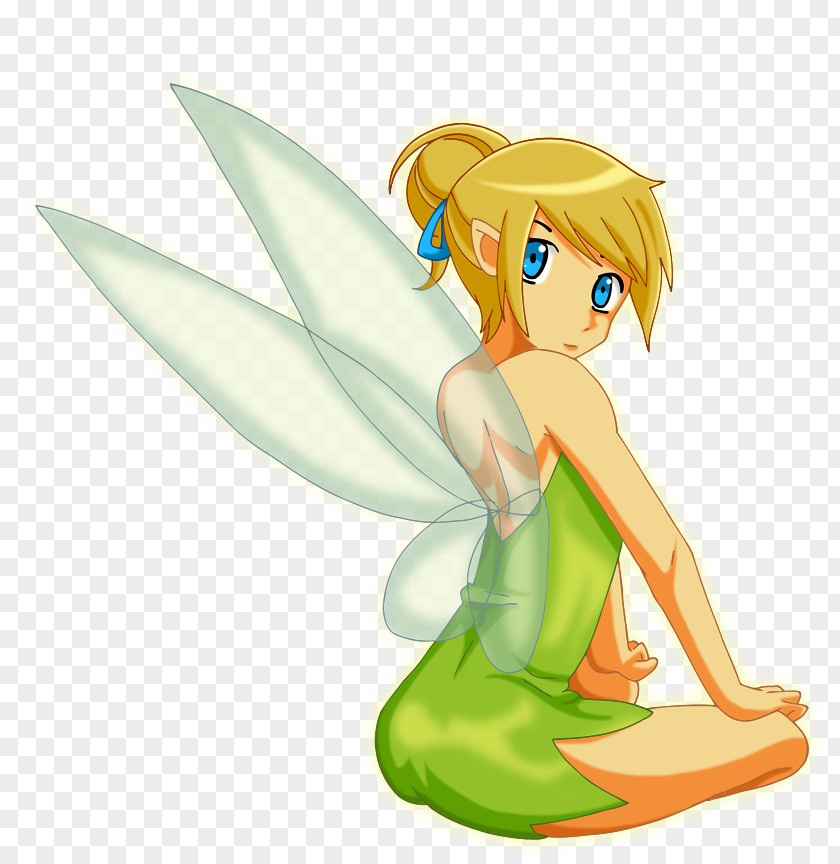 Fairy Tinker Bell Peter Pan Captain Hook Tiger Lily PNG