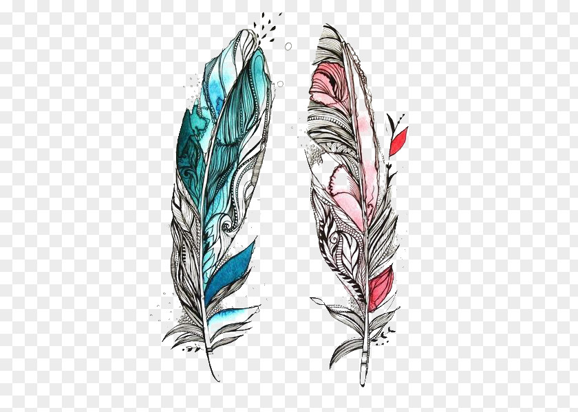 Feather Bird Drawing Tattoo Sketch PNG