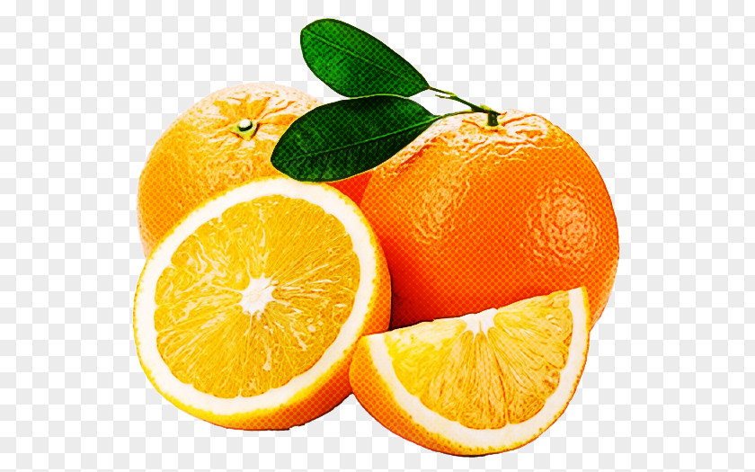 Mandarin Orange PNG