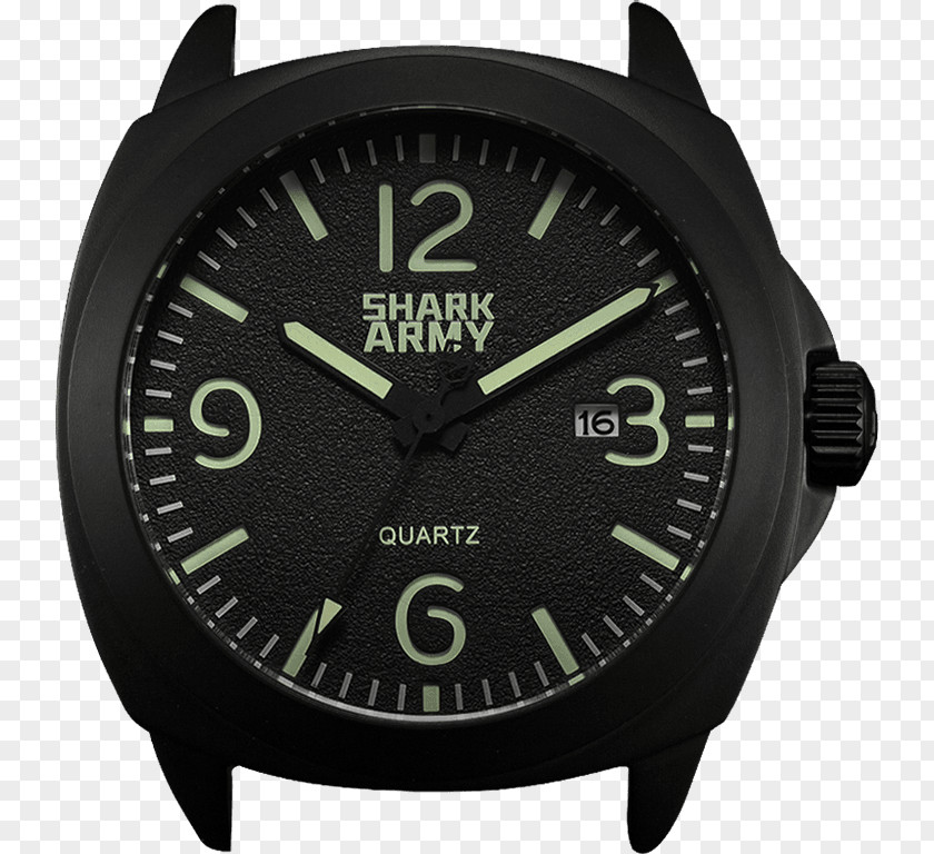 Army Items Alpina Watches Military Water Resistant Mark Steel PNG