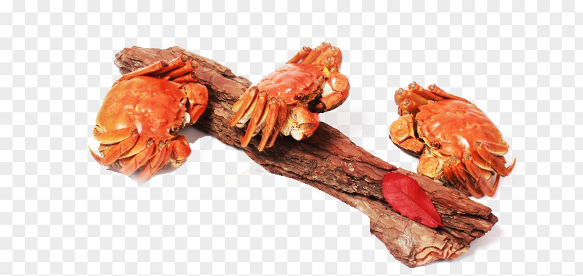 Crab Tree Branch Seafood Lobster PNG