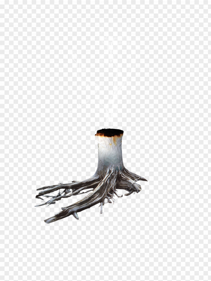 Destroys Nature Tree Environmental Protection Root PNG