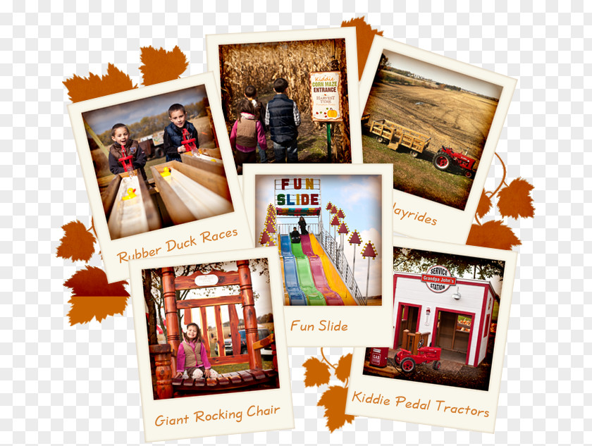 Field Trip Picture Frames Advertising Collage PNG