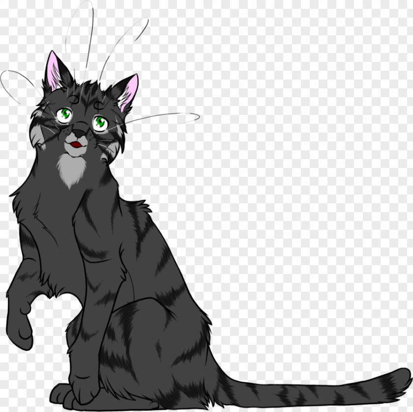 Kitten Whiskers Black Cat Warriors PNG