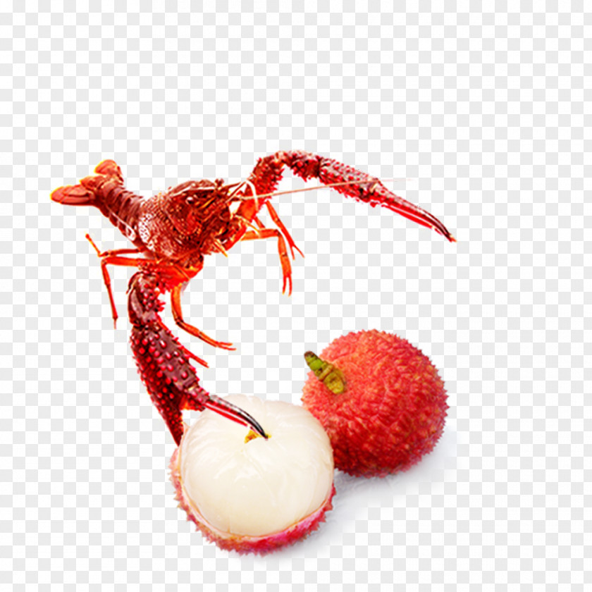 Litchi Lobster Seafood Poster PNG