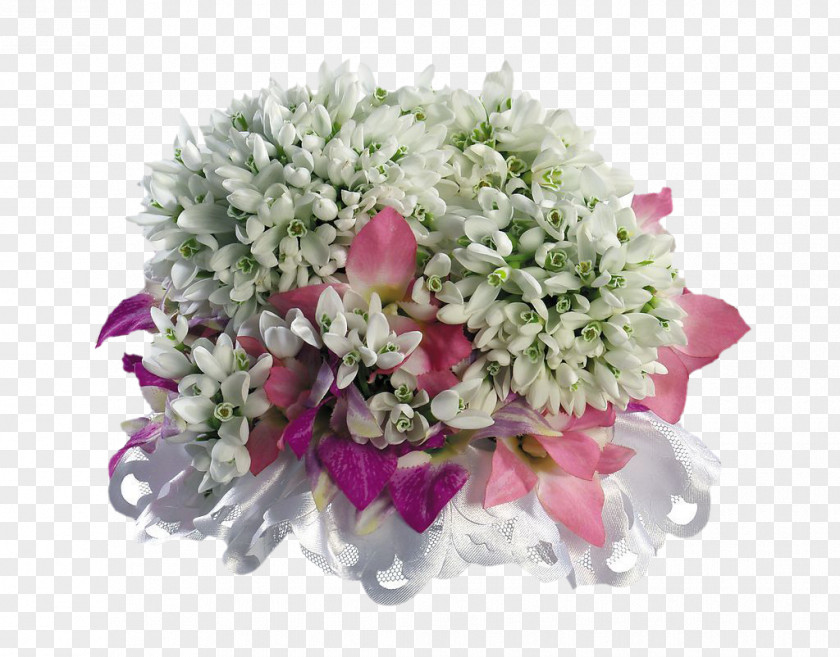 Magnolia Bouquet Galanthus Nivalis Primrose Flower Spring PNG