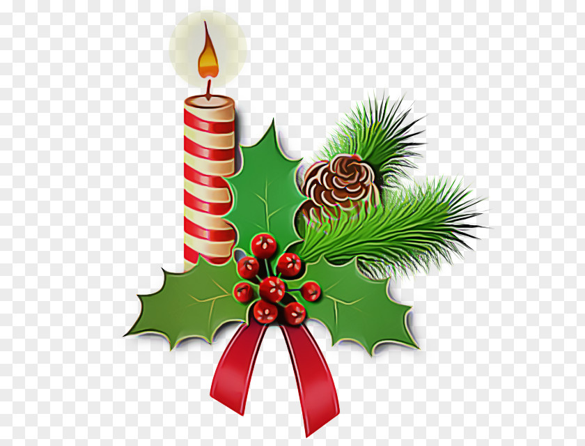 Pine Christmas Eve Decoration PNG