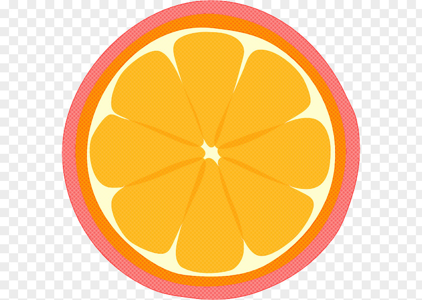 Plant Fruit Orange PNG