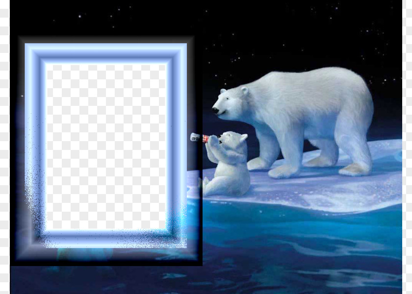 Polar Bear Photo Frame Coca-Cola Baby PNG