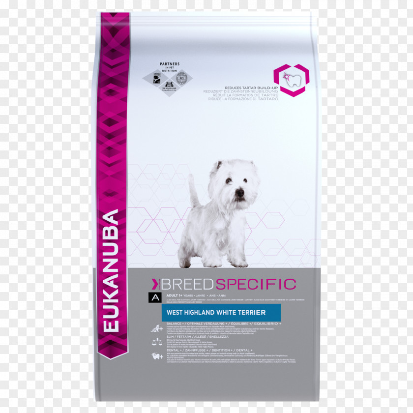 Puppy West Highland White Terrier Labrador Retriever Cat Eukanuba PNG