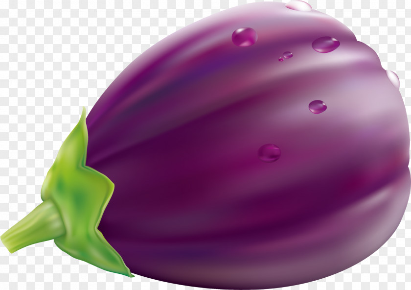 Purple Eggplant PNG