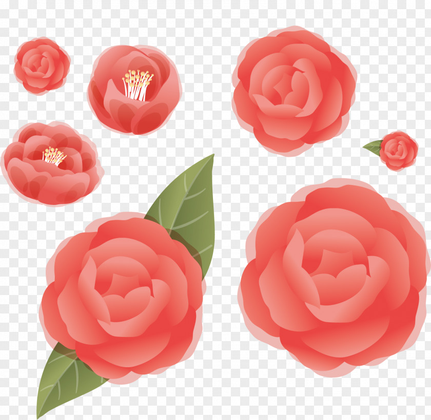 Red Roses Garden Flower PNG