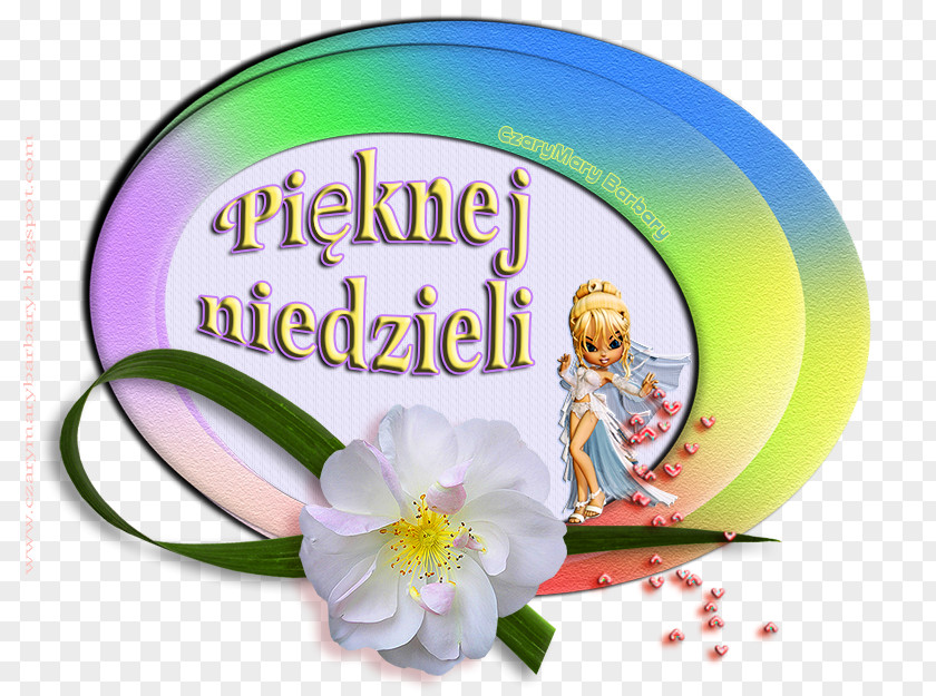 SUBSCRIBE Sunday Wish Flower PNG