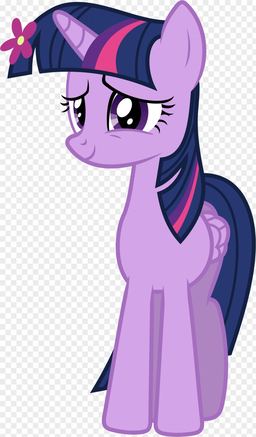 Twilight Sparkle Princess Cadance Pony DeviantArt PNG