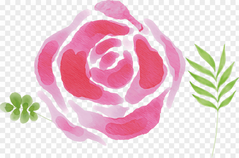 Garden Roses PNG