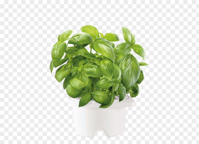 Basil Click & Grow Gardening Flowerpot Nutrient PNG