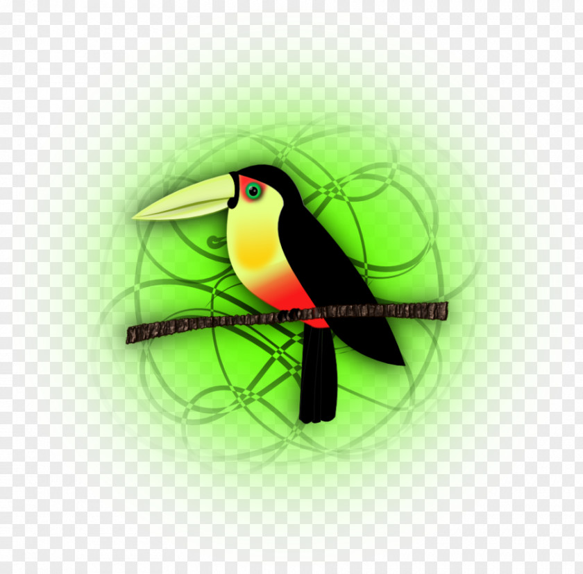 Computer Toucan Hummingbird M Desktop Wallpaper Beak PNG