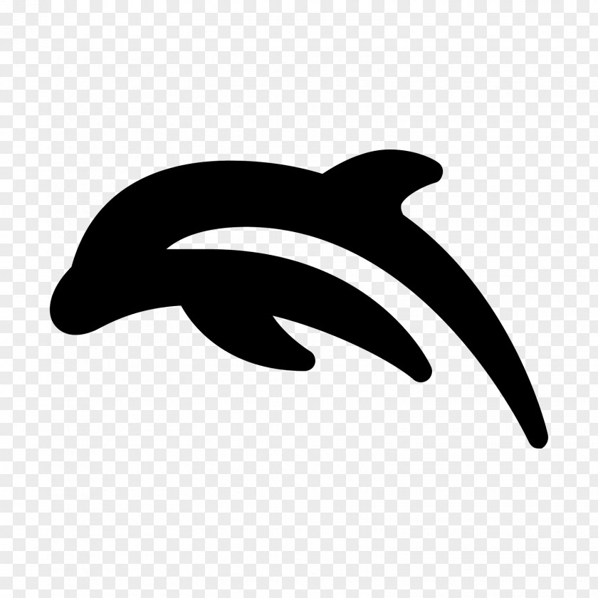 Dolphin Icon Design PNG