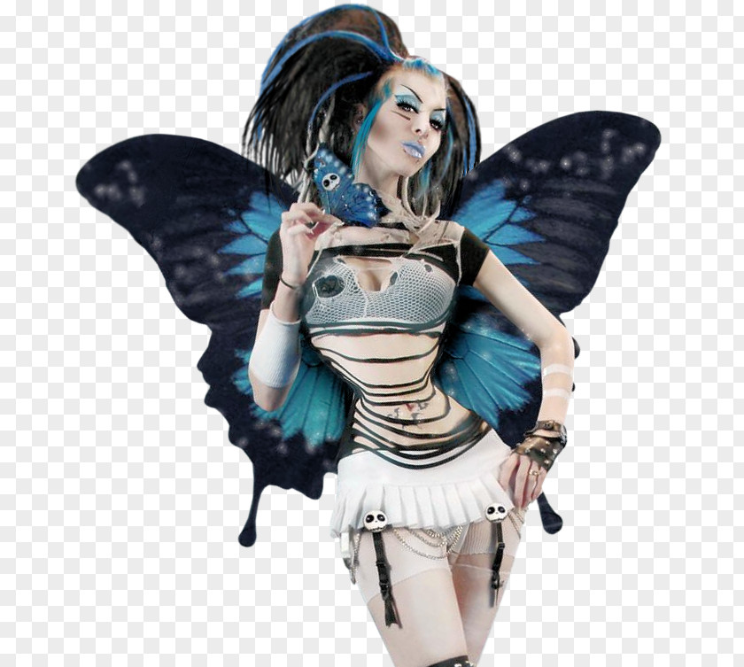 Fairy Butterfly Costume PNG