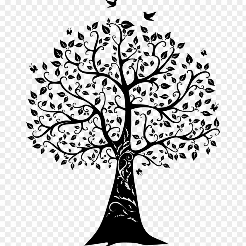 Family Tree Paper Wall Decal Of Life PNG