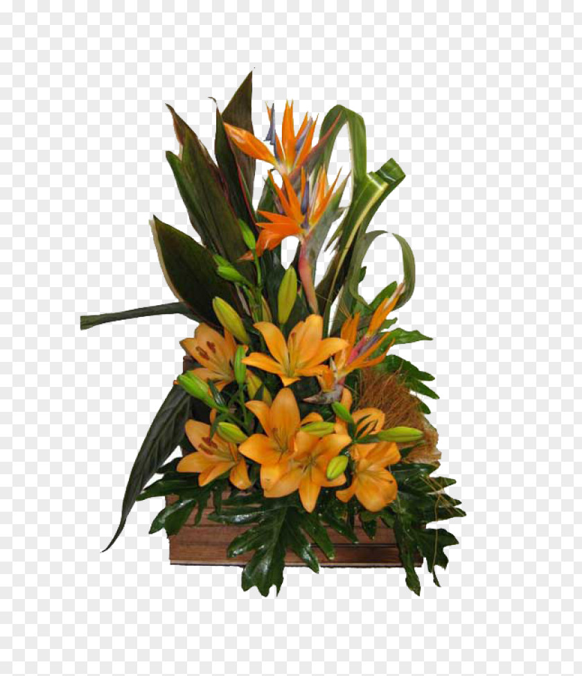 Flower Floral Design Bouquet Cut Flowers Strelitzia CO. PNG