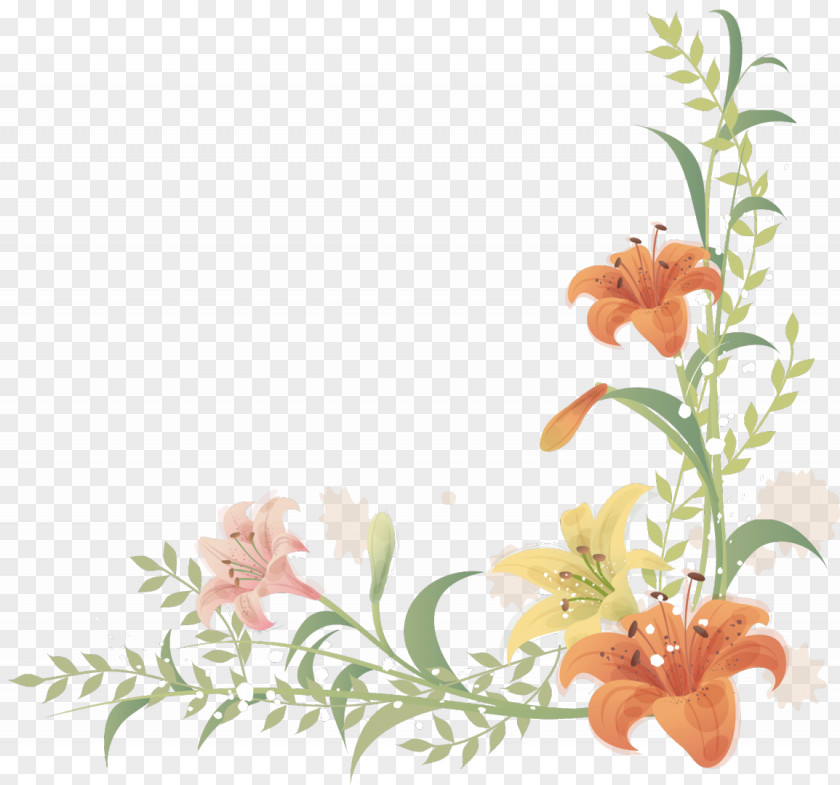 Flower Picture Frames Bordiura Clip Art PNG