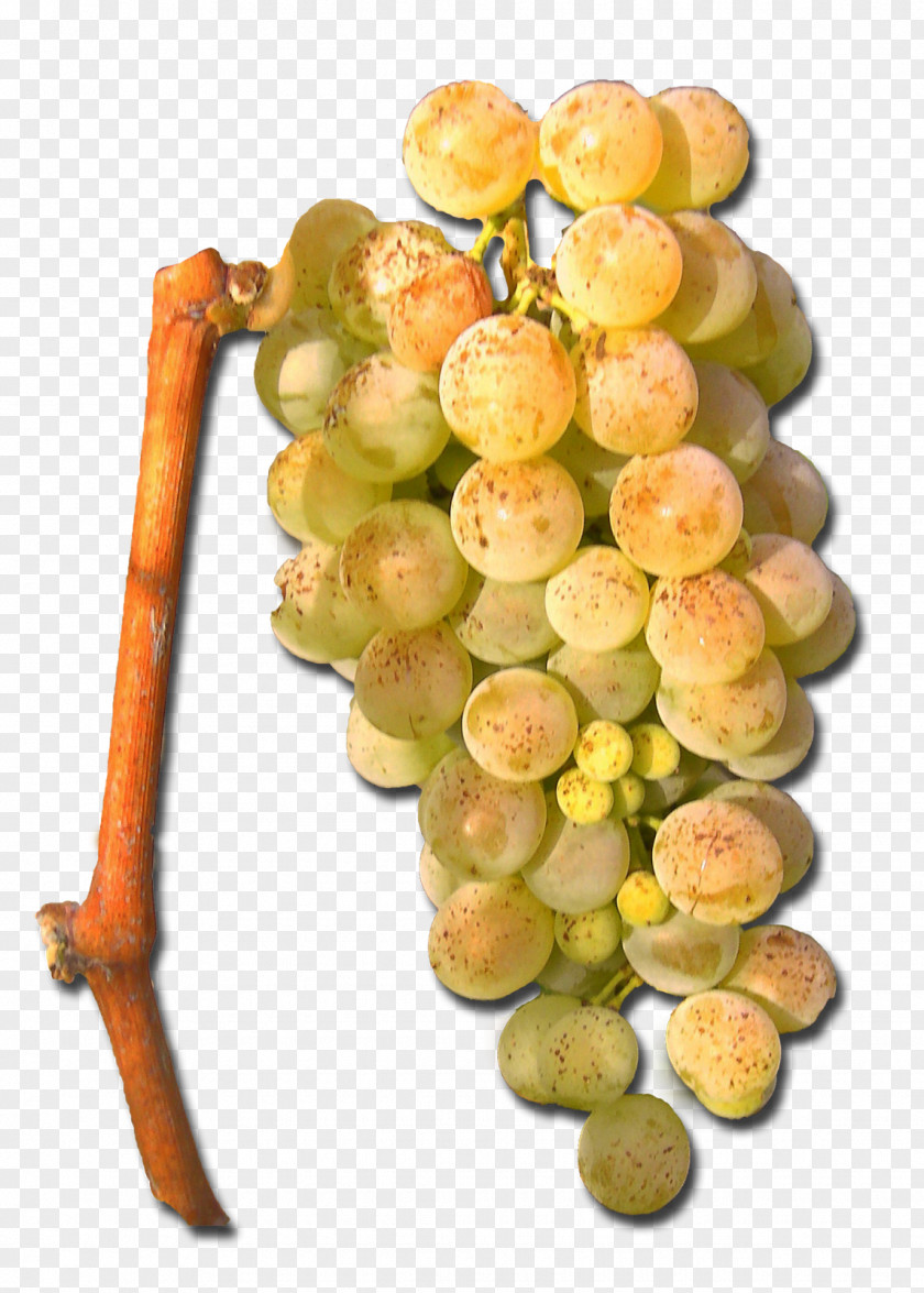 Grape Sultana Seedless Fruit Natural Foods Superfood PNG