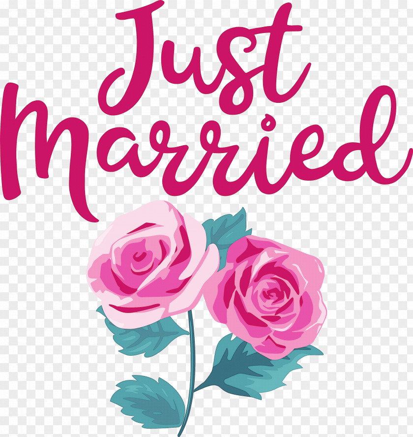 Just Married Wedding PNG