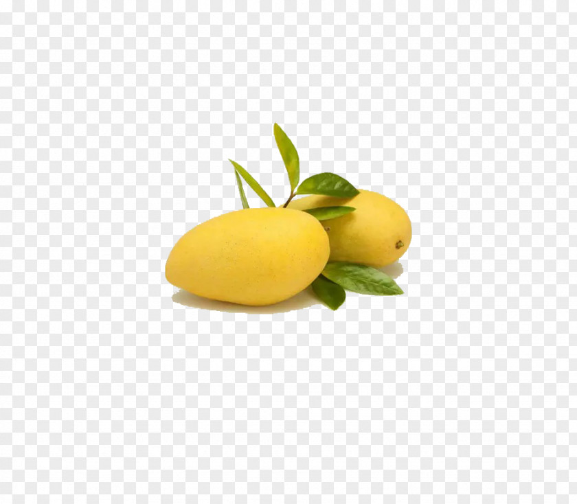 Mango Juice Snow Skin Mooncake PNG