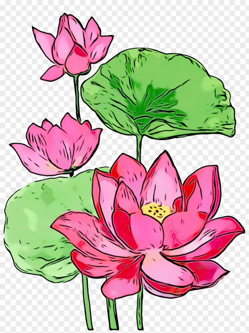 Pink Plant Lotus PNG