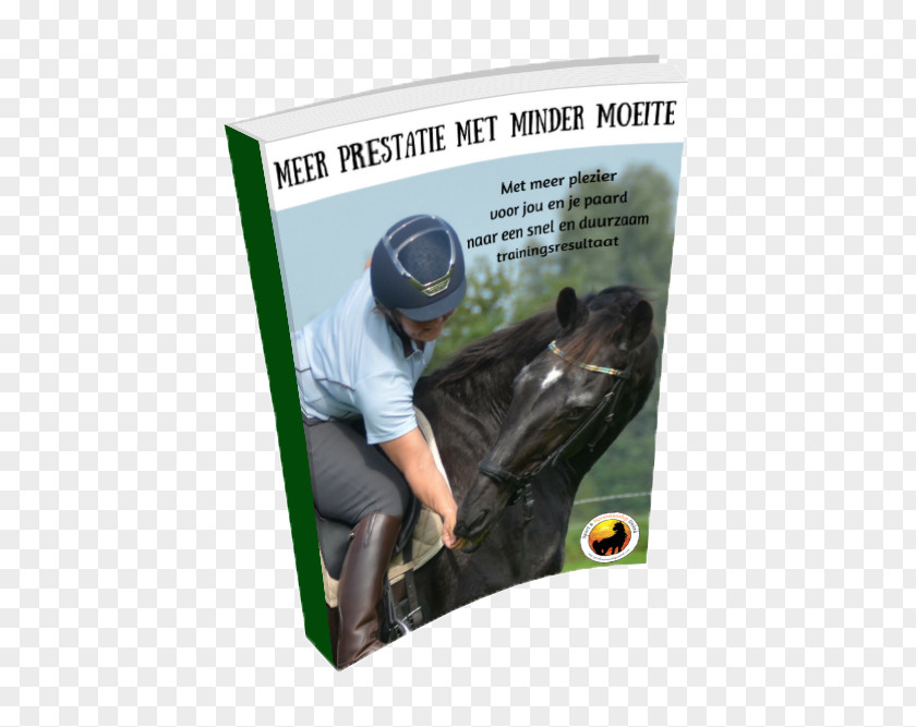 Horse Dressage Naturally: Dressur Im Sinne Des Natural Horsemanship Equestrian PNG