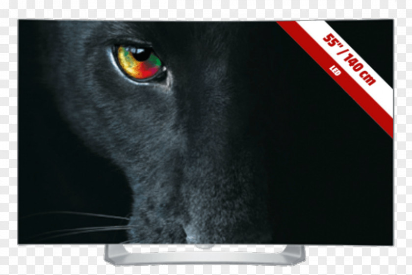 Lg Tv LG EG910V OLED Electronics Smart TV PNG