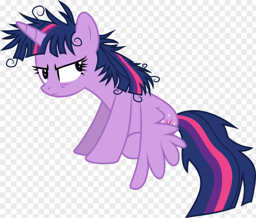 My Little Pony Twilight Sparkle Rarity Pinkie Pie Rainbow Dash PNG