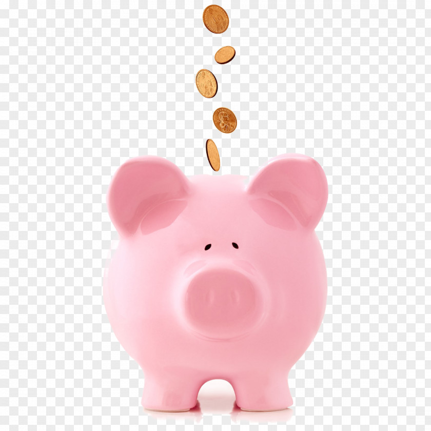 Piggy Bank Coin Money Fee Business PNG