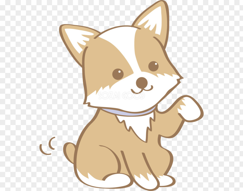 Puppy Whiskers Dog Breed Pembroke Welsh Corgi Toy PNG