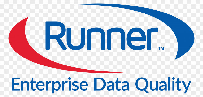 Runner Oracle Corporation Data Quality Business System Integration Enterprise Resource Planning PNG