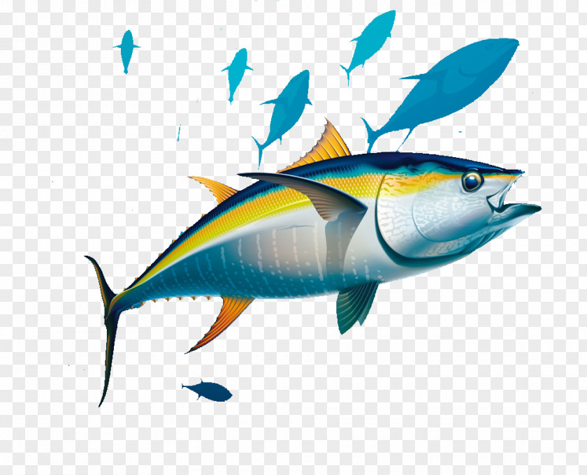 Seabed Fish Yellowfin Tuna Albacore Illustration PNG