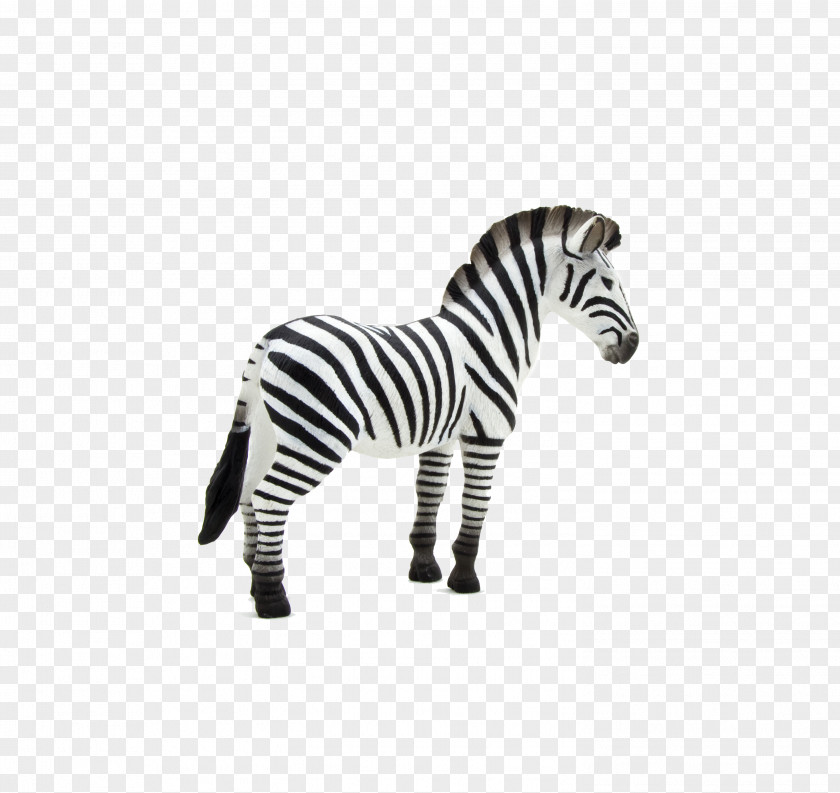 Zebra Horse Lynx Animal Planet PNG