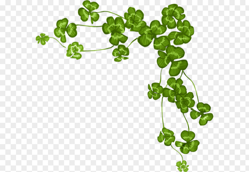 Clover Four-leaf Shamrock Saint Patrick's Day PNG