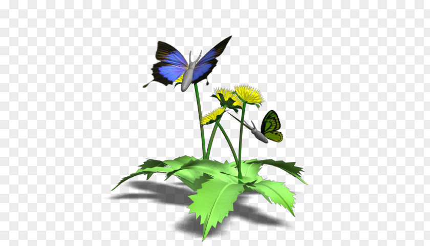 Fluttering Butterflies Blog Flower Animaatio PNG